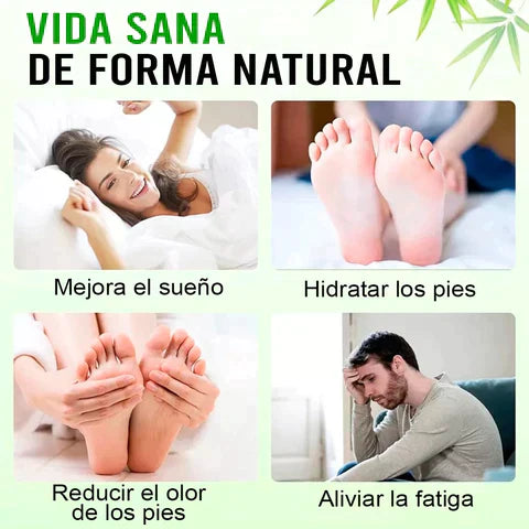 🌿 PARCHES DESINTOXICANTES KINOKI 🌿