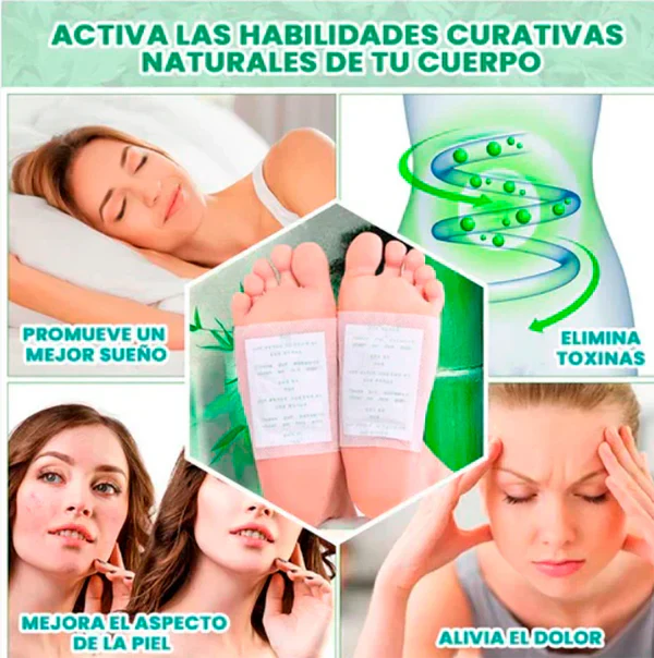 🌿 PARCHES DESINTOXICANTES KINOKI 🌿